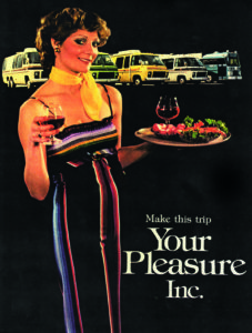 Your Pleasure Inc. Brochure